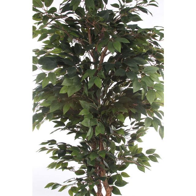 Kopu ® kunstplant ficus 180 cm in pot met natuurstam 2759309 large