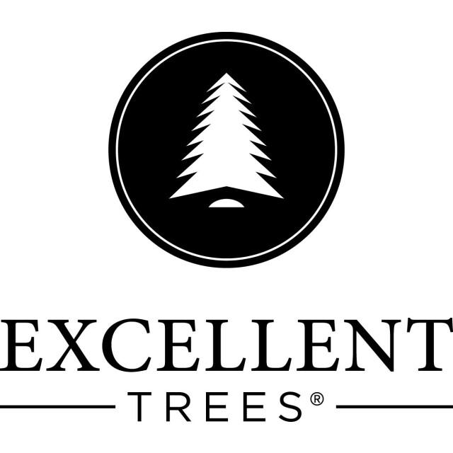Excellent Trees Kerstboom ® stavanger green 240 cm luxe uitvoering 2005423 large