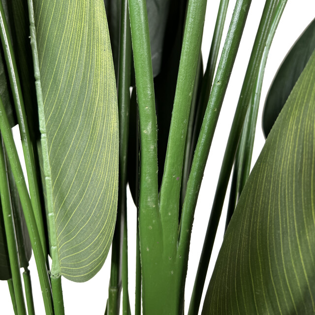 Kopu ® kunstplant canna 210 cm 32 bladeren in zwarte pot bloemriet 2612756 large