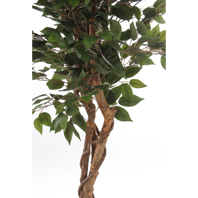 Kopu ® kunstplant ficus 180 cm in pot met natuurstam 2759309 large