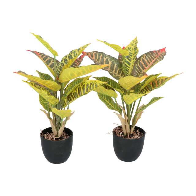 Kopu ® 2 stuks kunstplant croton 35 cm 14 bladeren in zwarte pot 2612755 large
