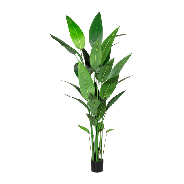 Kopu ® kunstplant canna 210 cm 32 bladeren in zwarte pot bloemriet 2612756 large