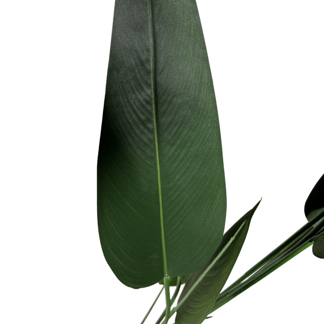 Kopu ® kunstplant canna 210 cm 32 bladeren in zwarte pot bloemriet 2612756 large