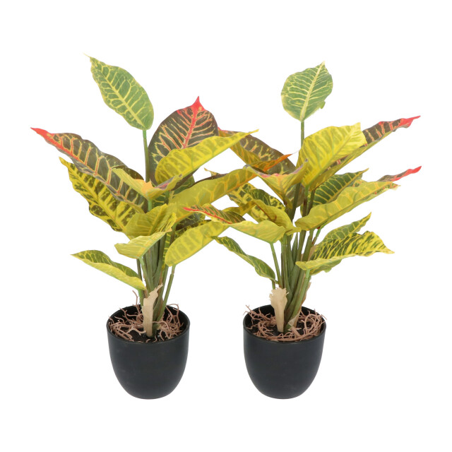 Kopu ® 2 stuks kunstplant croton 35 cm 14 bladeren in zwarte pot 2612755 large