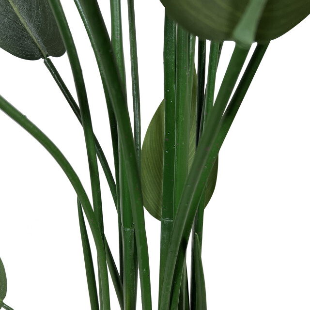 Kopu ® kunstplant canna 140 cm 20 bladeren in zwarte pot bloemriet 2612757 large
