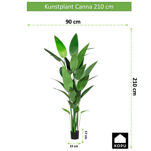 Kopu ® kunstplant canna 210 cm 32 bladeren in zwarte pot bloemriet 2612756 large
