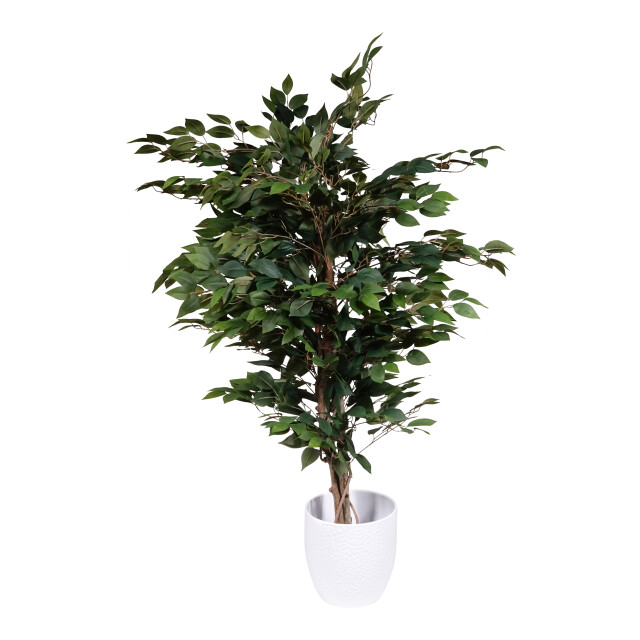 Kopu ® kunstplant ficus benjamina 120 cm in zwarte pot 1260 bladeren 2612761 large