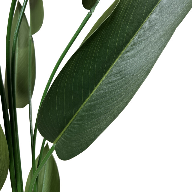 Kopu ® kunstplant canna 140 cm 20 bladeren in zwarte pot bloemriet 2612757 large