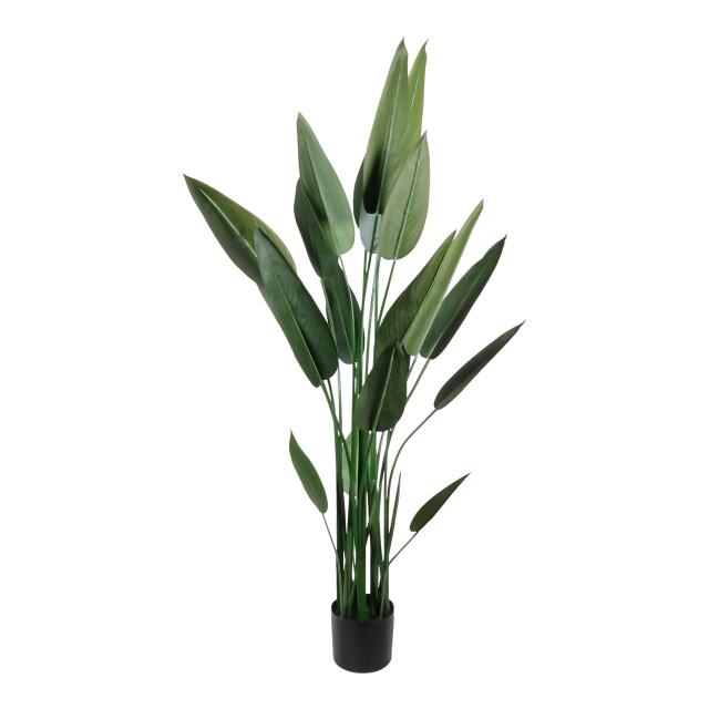Kopu ® kunstplant canna 140 cm 20 bladeren in zwarte pot bloemriet 2612757 large