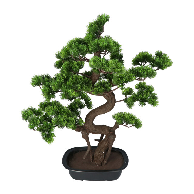 Kopu ® kunstplant bonsai 65 cm pijnboom met zwarte pot bonsai boompje 2612721 large