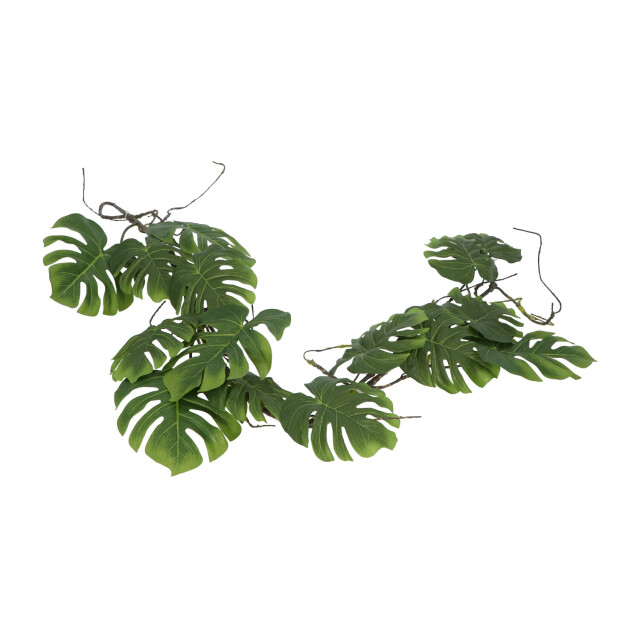 Kopu ® hangplant split philodendron 119 cm macramé plantenhanger xl 2612797 large