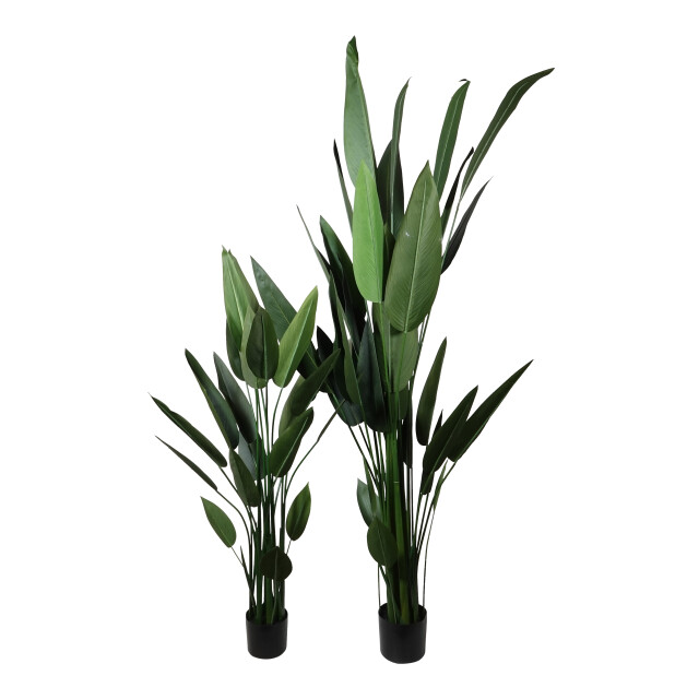 Kopu ® kunstplant canna 210 cm 32 bladeren in zwarte pot bloemriet 2612756 large