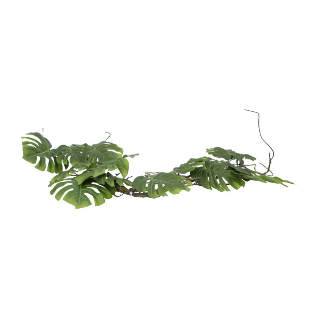 Kopu ® hangplant split philodendron 119 cm macramé plantenhanger xl 2612797 large