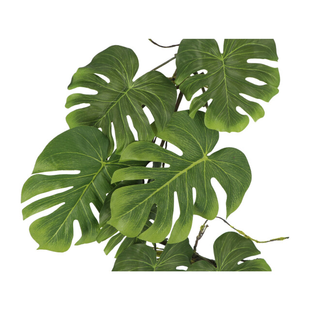 Kopu ® hangplant split philodendron 119 cm macramé plantenhanger xl 2612797 large