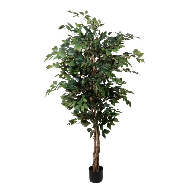 Kopu ® kunstplant ficus benjamina 150 cm in zwarte pot 1764 bladeren 2612762 large