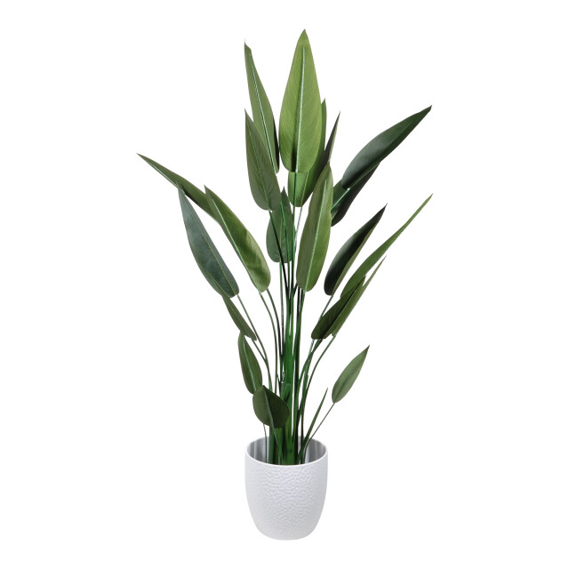 Kopu ® kunstplant canna 140 cm 20 bladeren in zwarte pot bloemriet 2612757 large