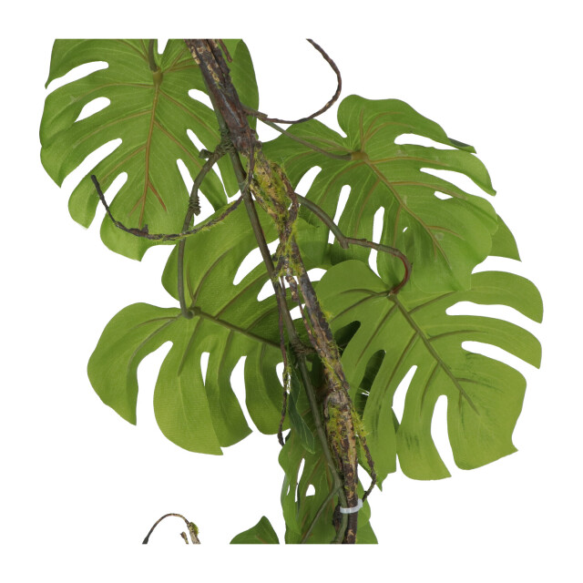 Kopu ® hangplant split philodendron 119 cm macramé plantenhanger xl 2612797 large
