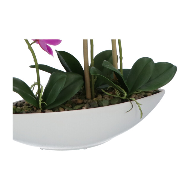 Kopu ® kunstbloem orchidee 60 cm met schaal ovaal phalaenopsis 2612723 large