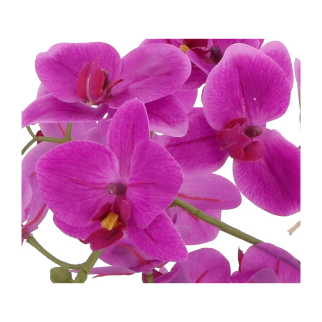 Kopu ® kunstbloem orchidee 60 cm met schaal ovaal phalaenopsis 2612723 large