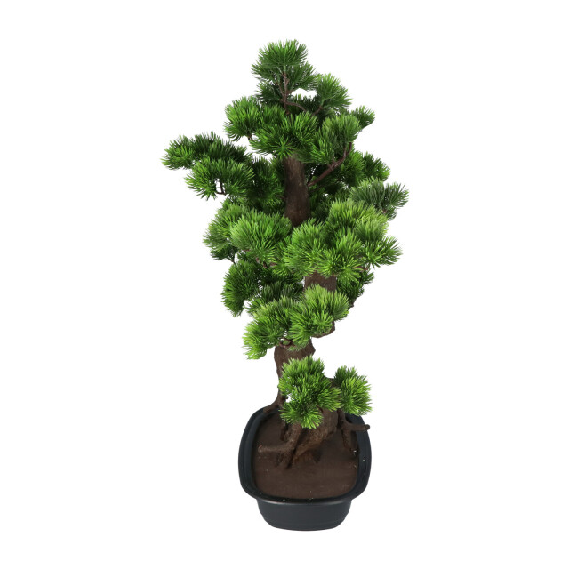 Kopu ® kunstplant bonsai 65 cm pijnboom met zwarte pot bonsai boompje 2612721 large