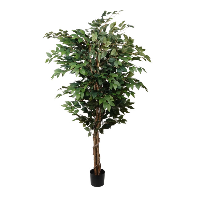 Kopu ® kunstplant ficus benjamina 150 cm in zwarte pot 1764 bladeren 2612762 large
