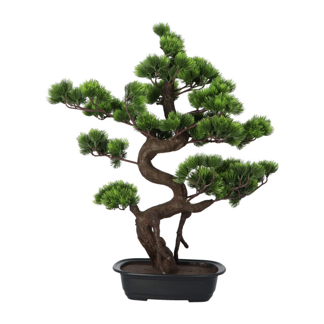 Kopu ® kunstplant bonsai 65 cm pijnboom met zwarte pot bonsai boompje 2612721 large