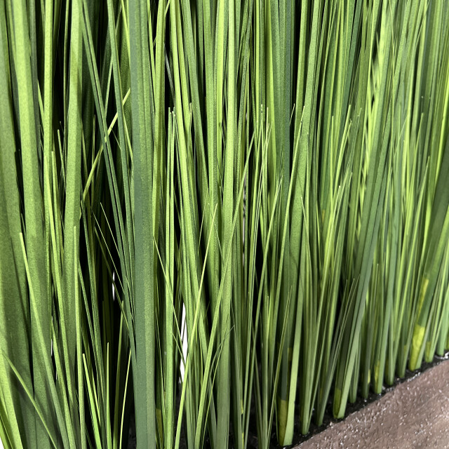 Kopu ® kunstplant roomdivider 85 cm in bak nepgras kamerverdeler 2757593 large
