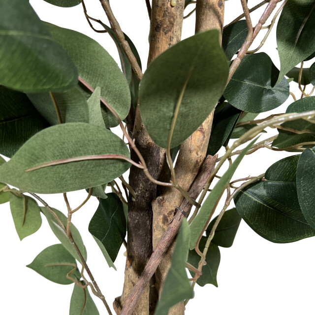Kopu ® kunstplant ficus benjamina 150 cm in zwarte pot 1764 bladeren 2612762 large
