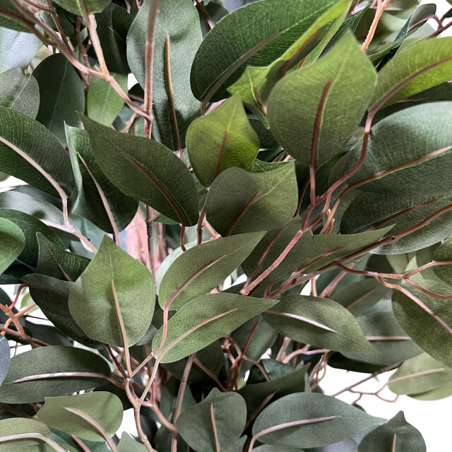 Kopu ® kunstplant ficus benjamina 150 cm in zwarte pot 1764 bladeren 2612762 large