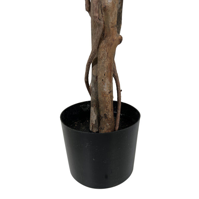 Kopu ® kunstplant ficus benjamina 120 cm in zwarte pot 1260 bladeren 2612761 large