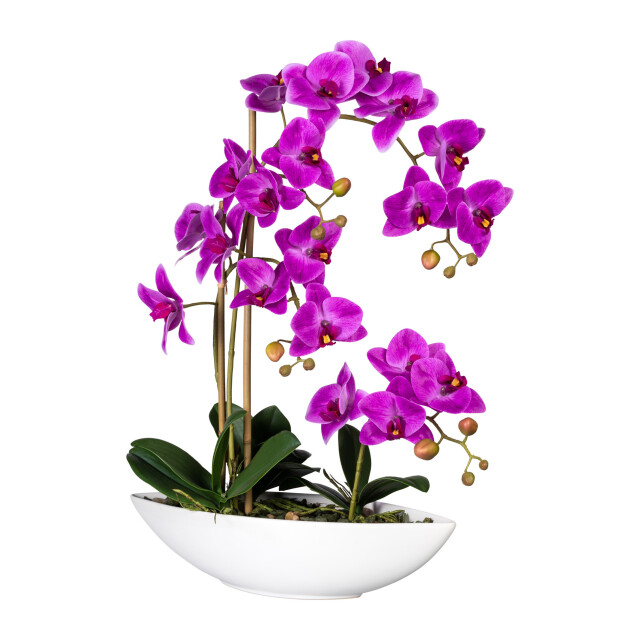 Kopu ® kunstbloem orchidee 60 cm met schaal ovaal phalaenopsis 2612723 large