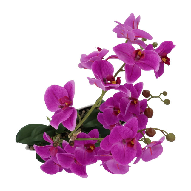 Kopu ® kunstbloem orchidee 60 cm met schaal ovaal phalaenopsis 2612723 large