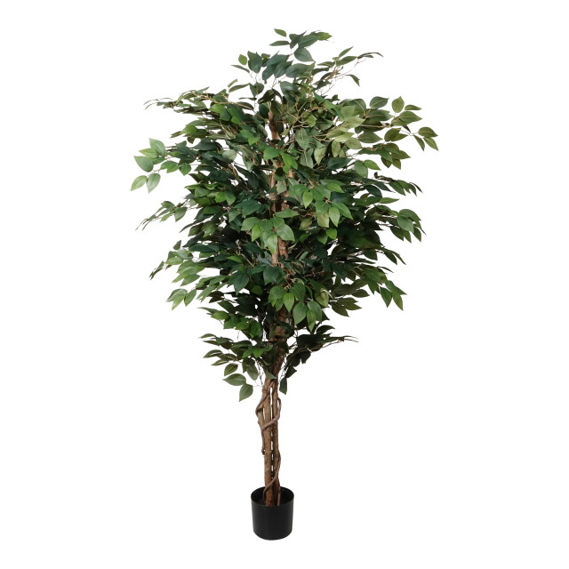 Kopu ® kunstplant ficus benjamina 150 cm in zwarte pot 1764 bladeren 2612762 large
