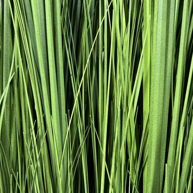 Kopu ® kunstplant roomdivider 125 cm in bak nepgras 2612731 large