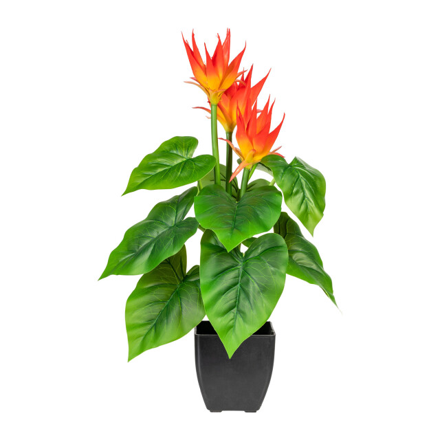 Kopu ® kunstplant guzmania 58 cm met 3 oranje bloemen nepplant 2612763 large
