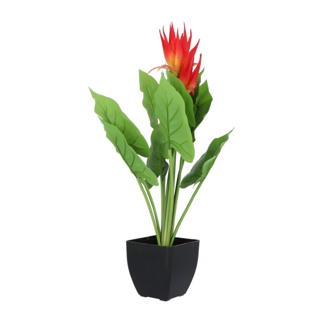 Kopu ® kunstplant guzmania 58 cm met 3 oranje bloemen nepplant 2612763 large