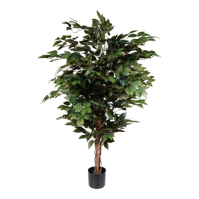 Kopu ® kunstplant ficus benjamina 120 cm in zwarte pot 1260 bladeren 2612761 large