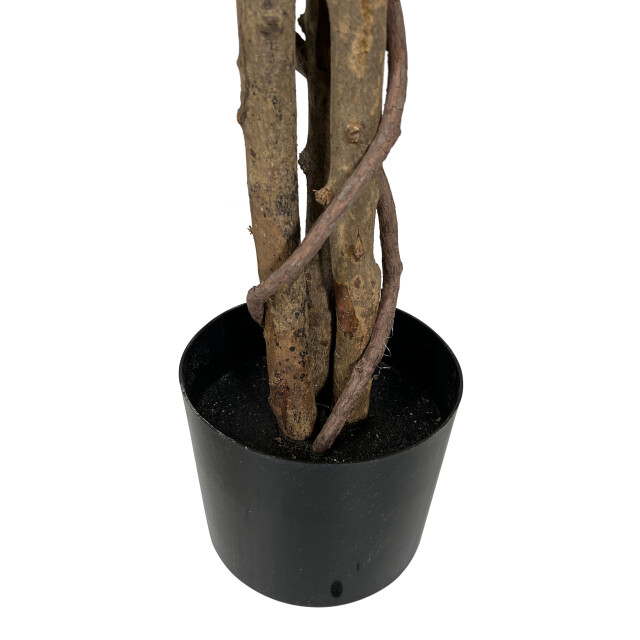Kopu ® kunstplant ficus 120 cm in pot 630 bladeren met natuurstam 2757594 large