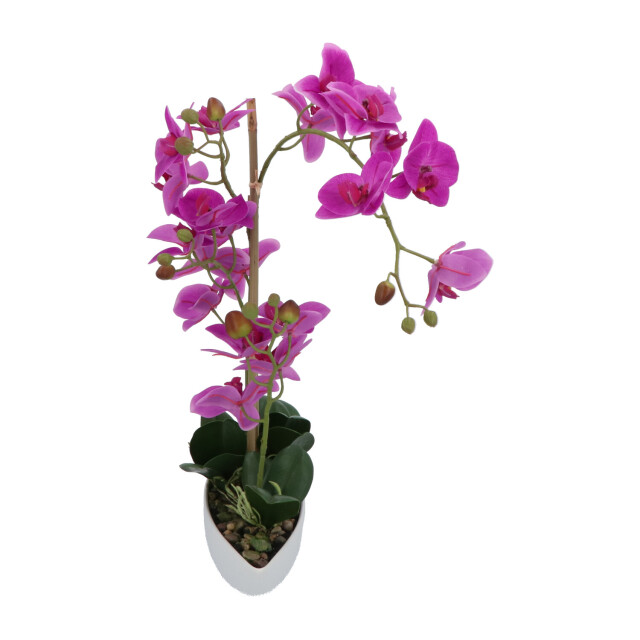 Kopu ® kunstbloem orchidee 60 cm met schaal ovaal phalaenopsis 2612723 large