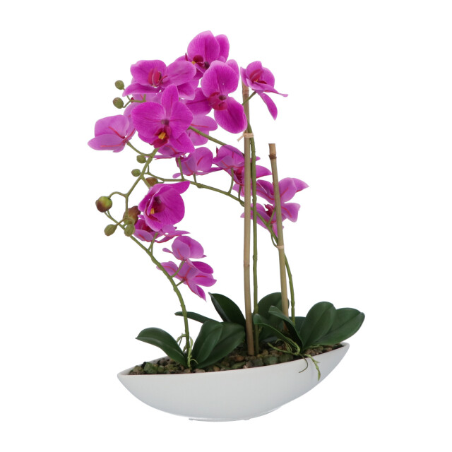 Kopu ® kunstbloem orchidee 60 cm met schaal ovaal phalaenopsis 2612723 large