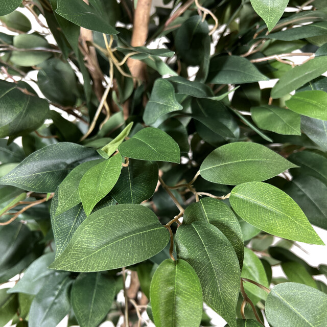 Kopu ® kunstplant ficus 120 cm in pot 630 bladeren met natuurstam 2757594 large
