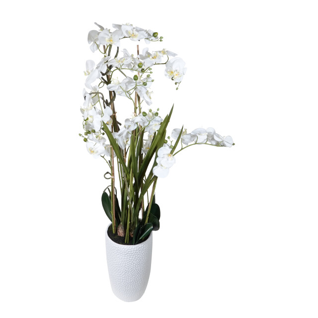 Kopu ® kunstplant orchidee 160 cm in hoge bloempot phalaenopsis 2612725 large