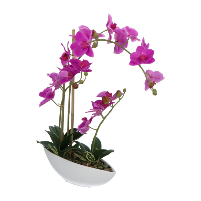Kopu ® kunstbloem orchidee 60 cm met schaal ovaal phalaenopsis 2612723 large