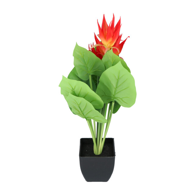Kopu ® kunstplant guzmania 58 cm met 3 oranje bloemen nepplant 2612763 large