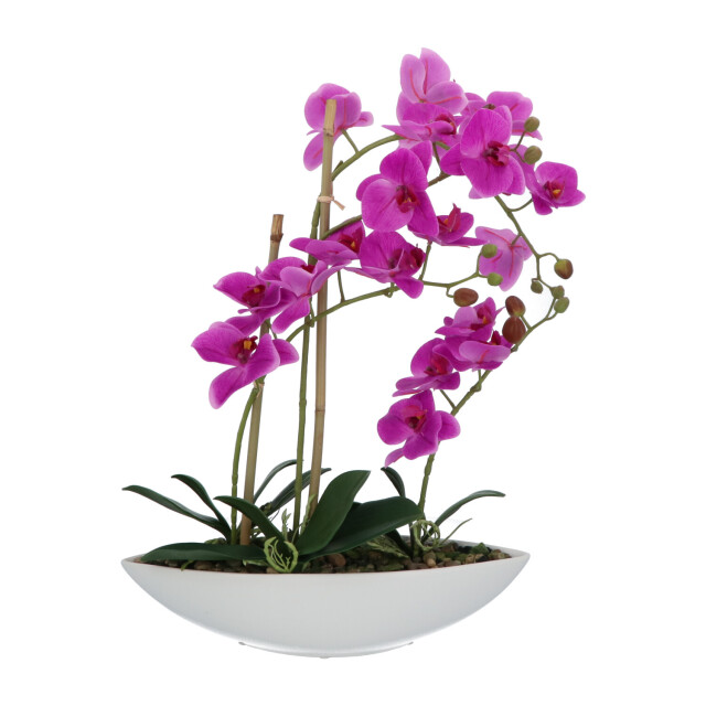 Kopu ® kunstbloem orchidee 60 cm met schaal ovaal phalaenopsis 2612723 large