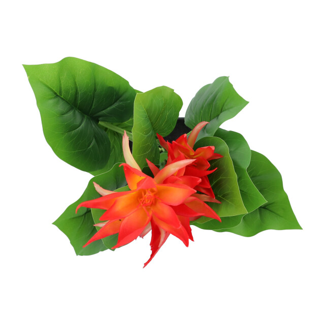 Kopu ® kunstplant guzmania 58 cm met 3 oranje bloemen nepplant 2612763 large