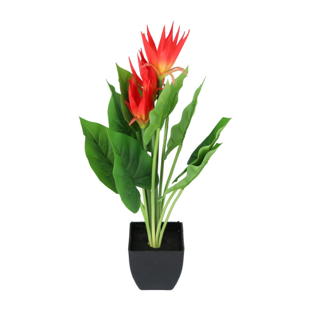 Kopu ® kunstplant guzmania 58 cm met 3 oranje bloemen nepplant 2612763 large