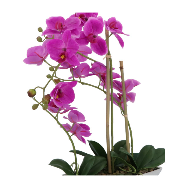 Kopu ® kunstbloem orchidee 60 cm met schaal ovaal phalaenopsis 2612723 large