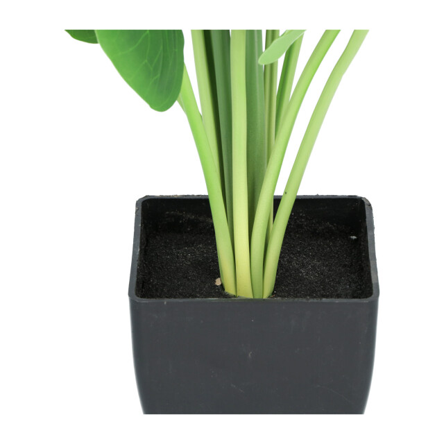 Kopu ® kunstplant guzmania 58 cm met 3 oranje bloemen nepplant 2612763 large