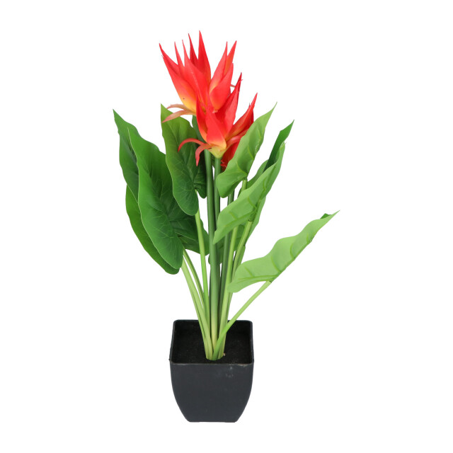 Kopu ® kunstplant guzmania 58 cm met 3 oranje bloemen nepplant 2612763 large